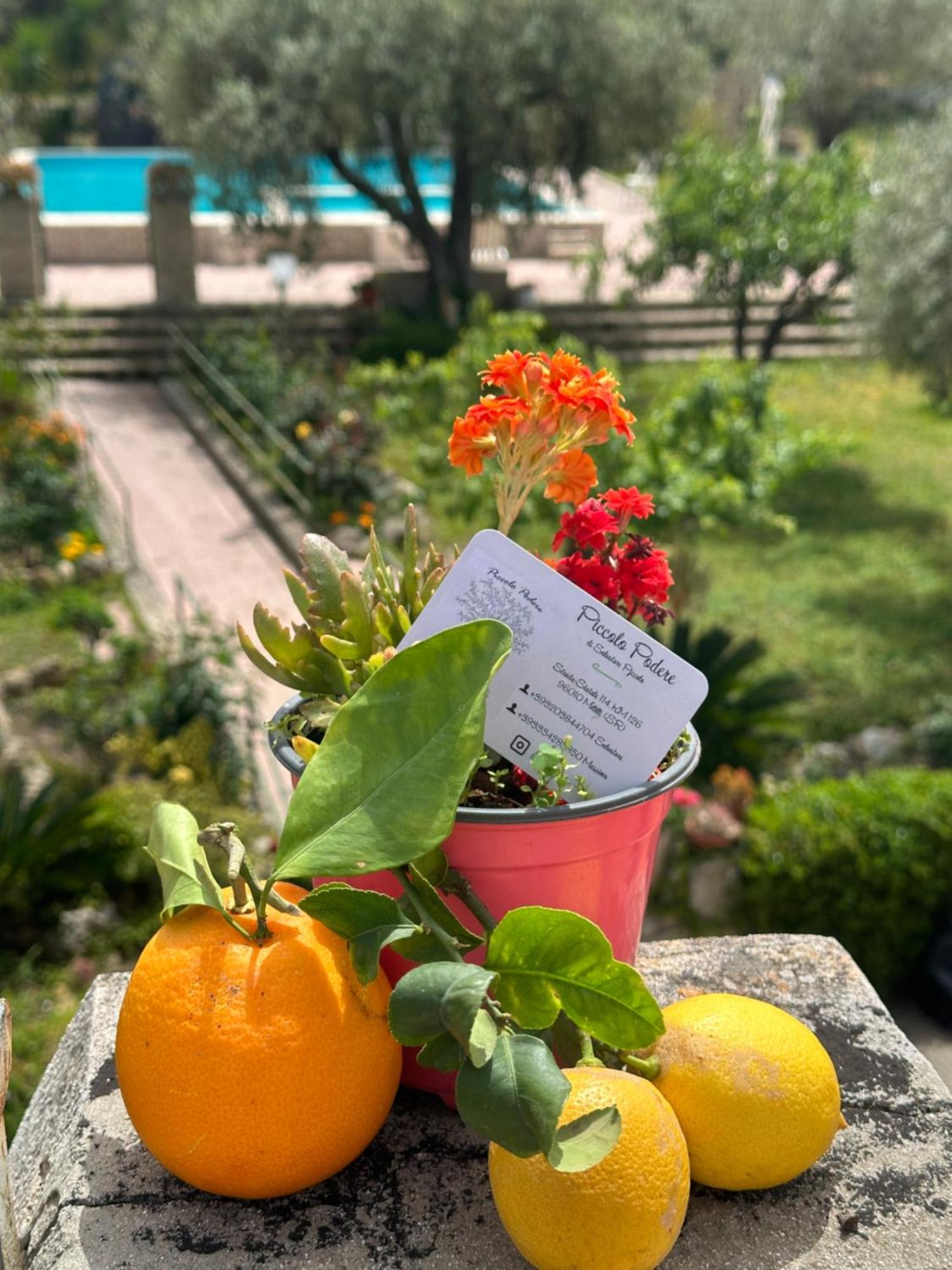 Apartamento Piccolo Podere Melilli Exterior foto